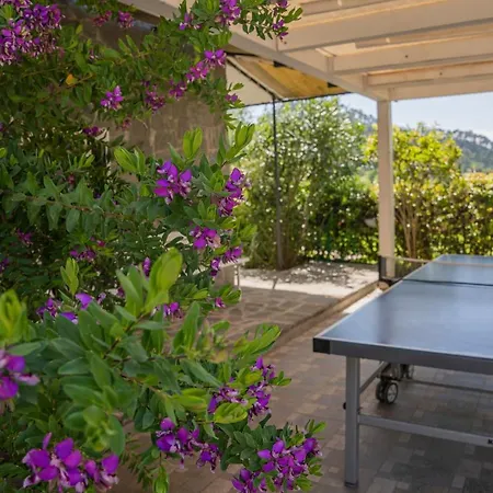 Apartment Agave - Luisa, Pace E Relax A 2 Passi Dal Mare Casarza Ligure