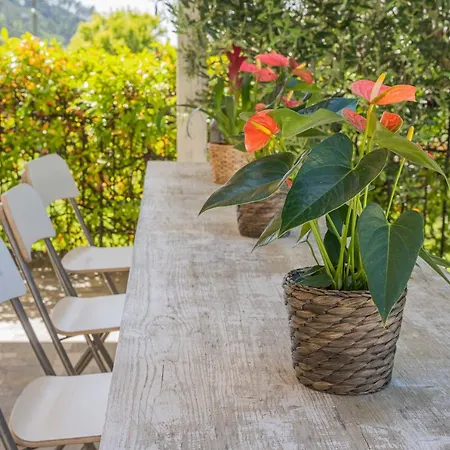 Agave - Luisa, Pace E Relax A 2 Passi Dal Mare *