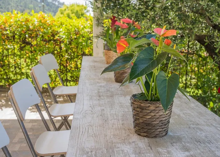 Agave - Luisa, Pace E Relax A 2 Passi Dal Mare *